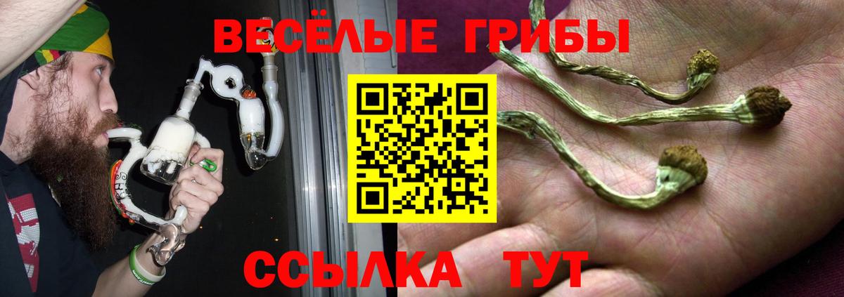 Галлюциногенные грибы ЛСД Кириши